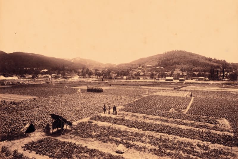1893年（明治26年）ごろの岡崎地域。