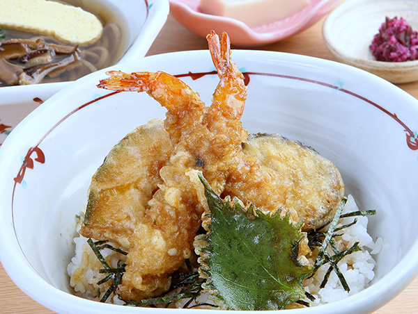 Tendon Set